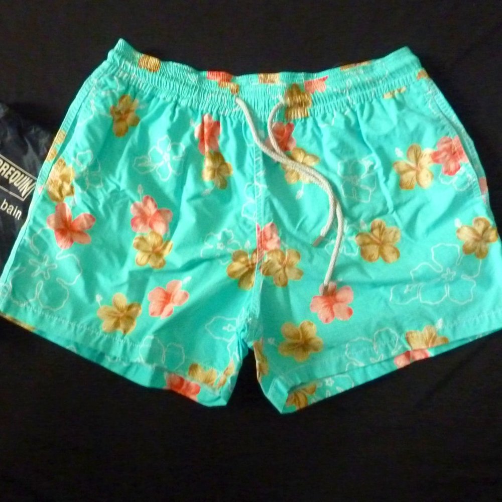 Vilebrequin Swim Trunks